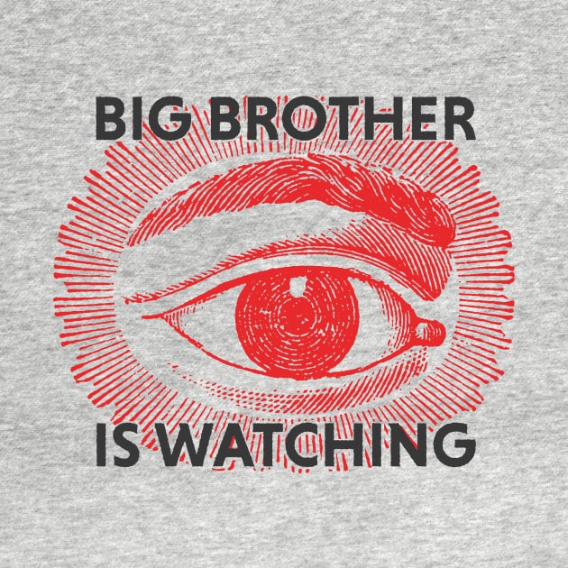 Big Brother is watching by this.space